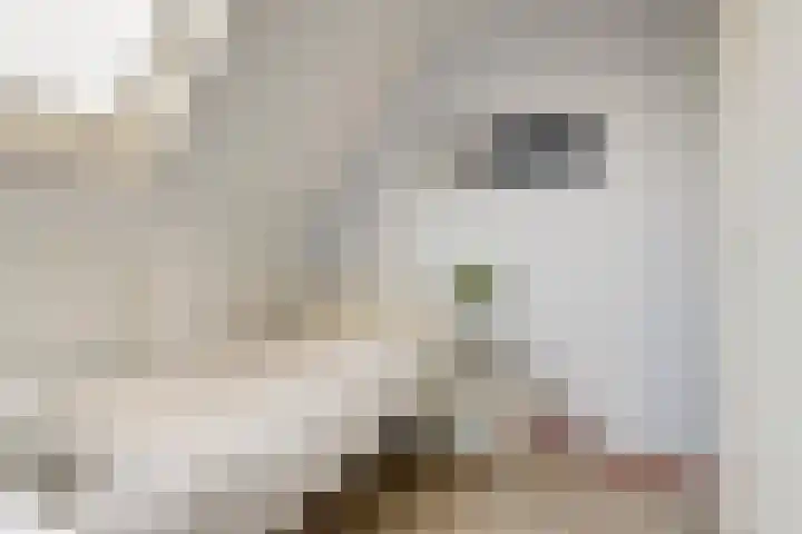Oortlaan 22 Bemmel thumbnail 15