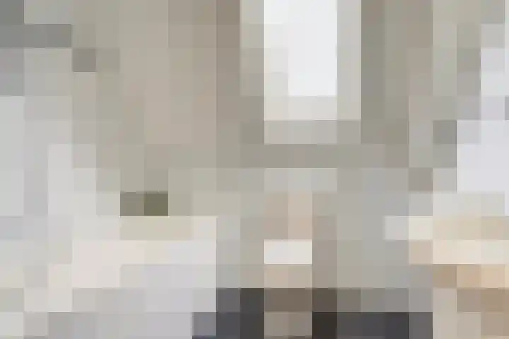 Oortlaan 22 Bemmel thumbnail 19