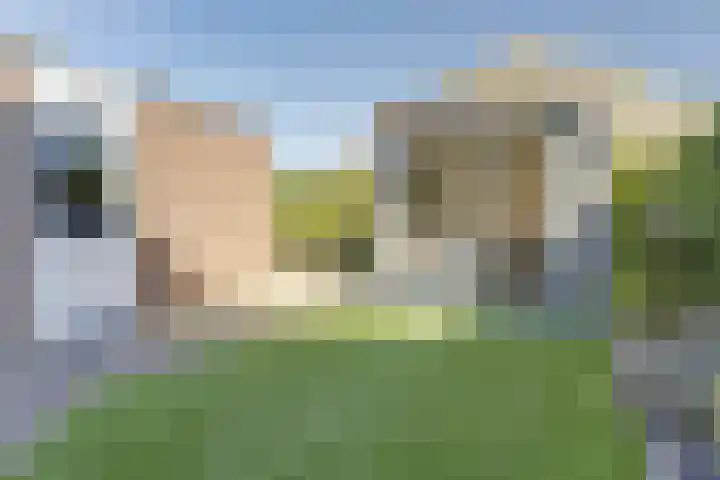 Oortlaan 22 Bemmel thumbnail 22