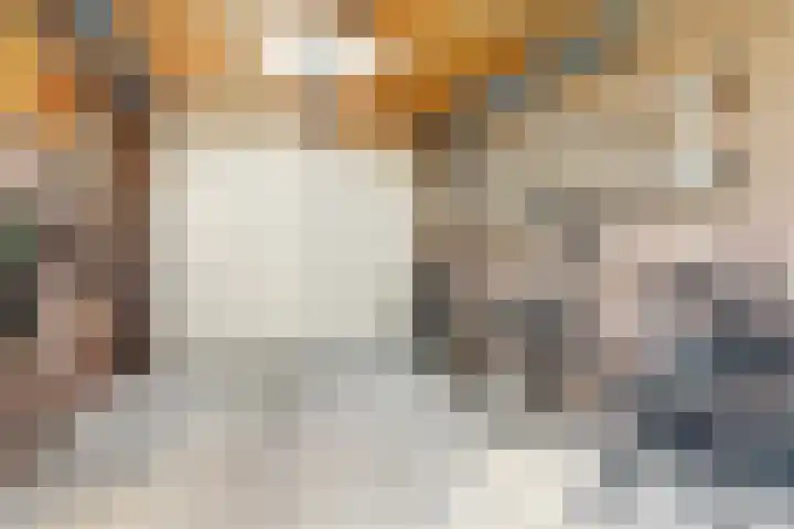 Oortlaan 22 Bemmel thumbnail 27