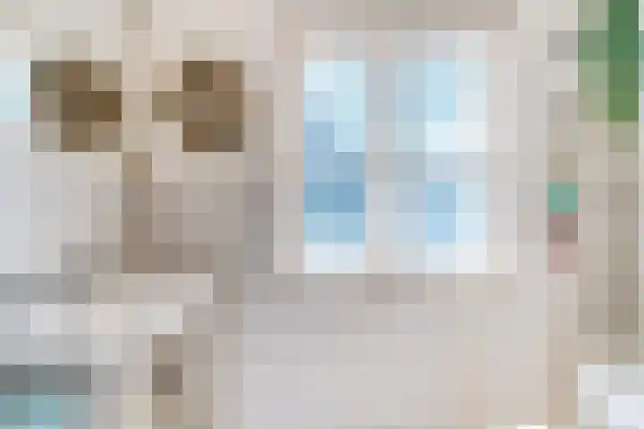 Oortveldlaan 15 Ede thumbnail 18
