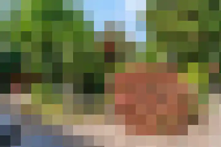 Oortveldlaan 15 Ede thumbnail 24