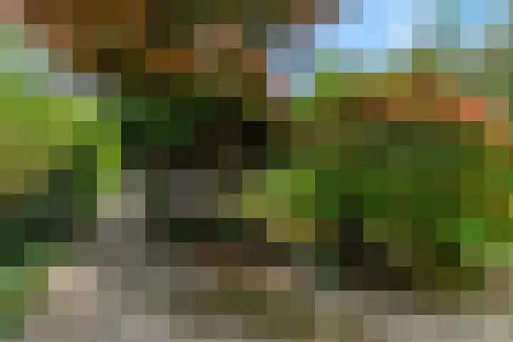 Oortveldlaan 15 Ede thumbnail 25