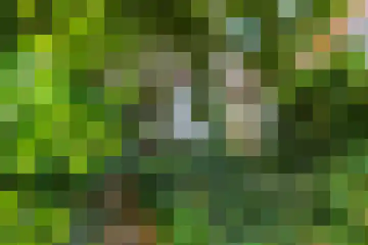 Oortveldlaan 15 Ede thumbnail 26