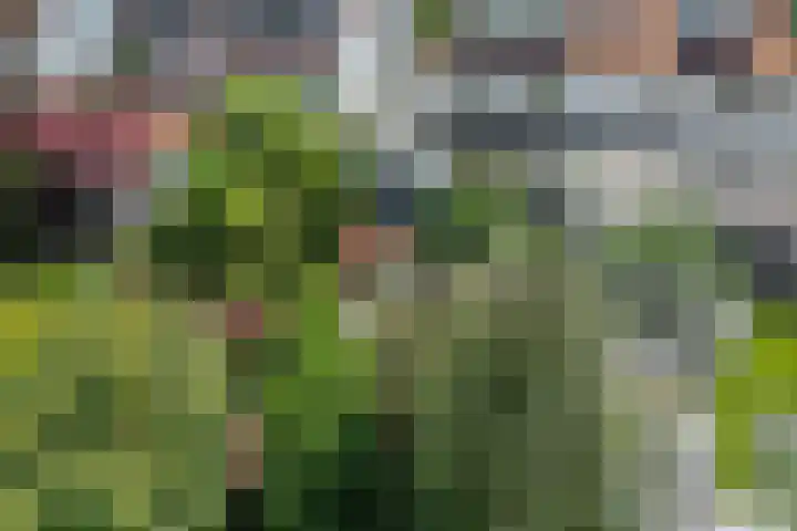 Oortveldlaan 15 Ede thumbnail 29