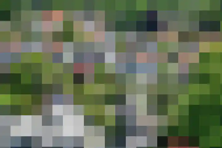 Oortveldlaan 15 Ede thumbnail 30