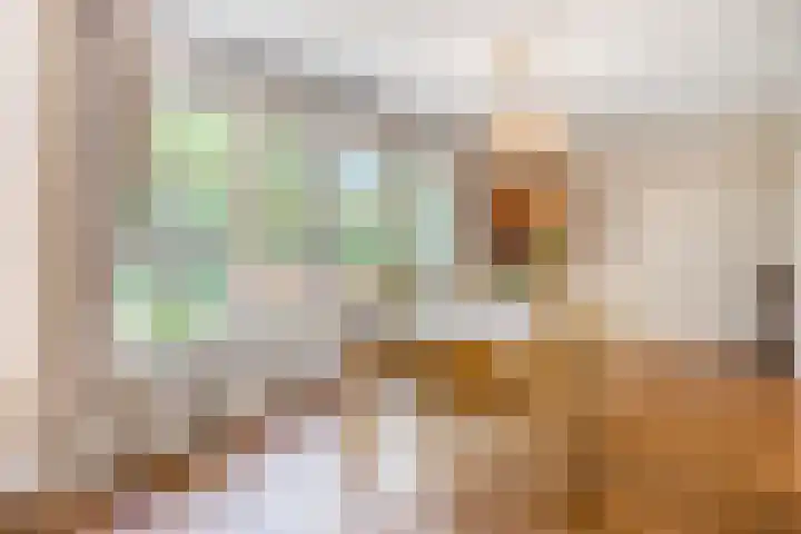 Oortveldlaan 15 Ede thumbnail 6