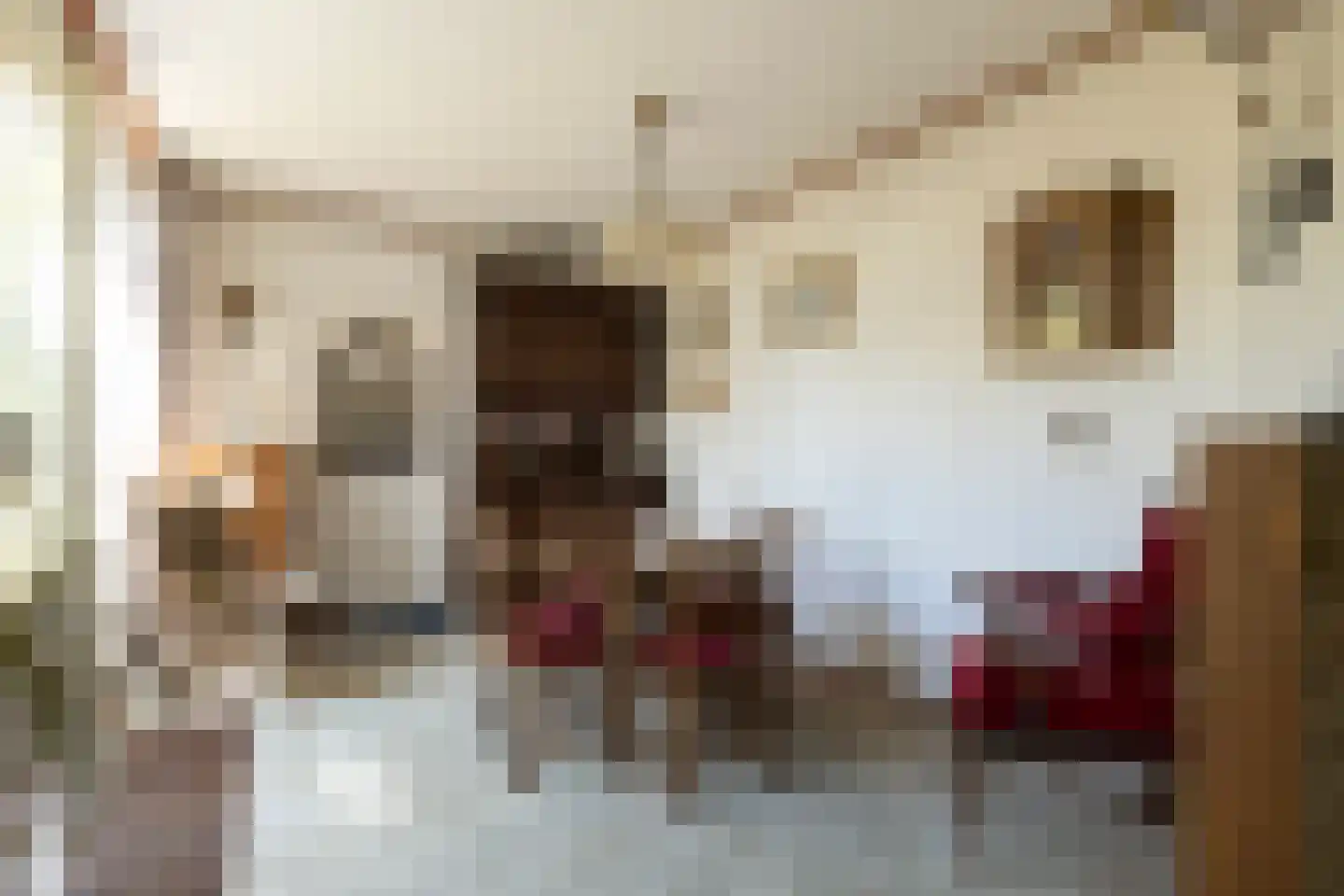 Oortveldlaan 9 Ede thumbnail 11