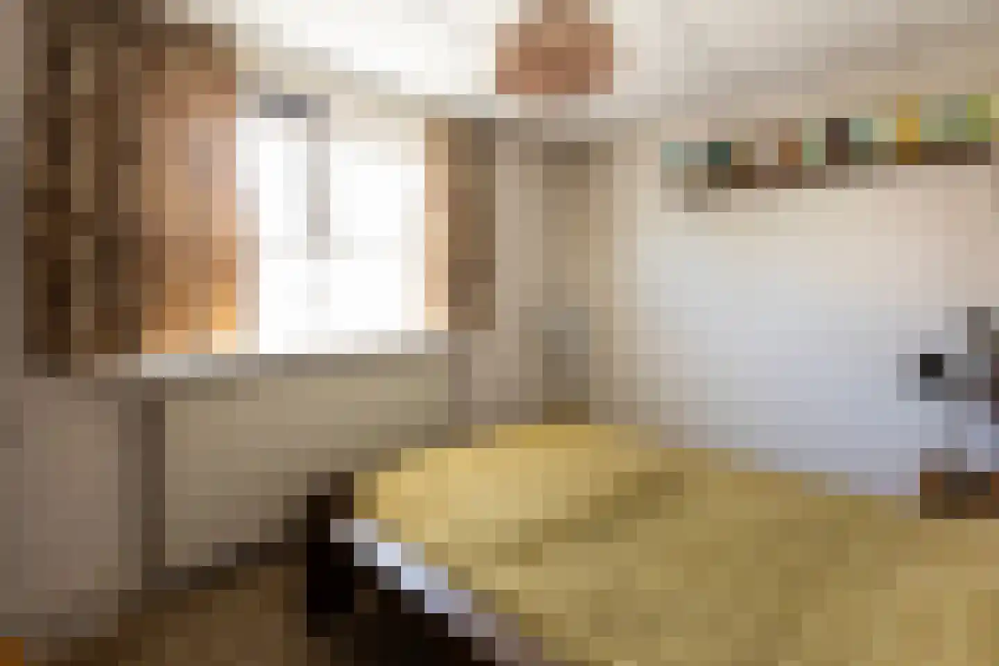 Oortveldlaan 9 Ede thumbnail 18