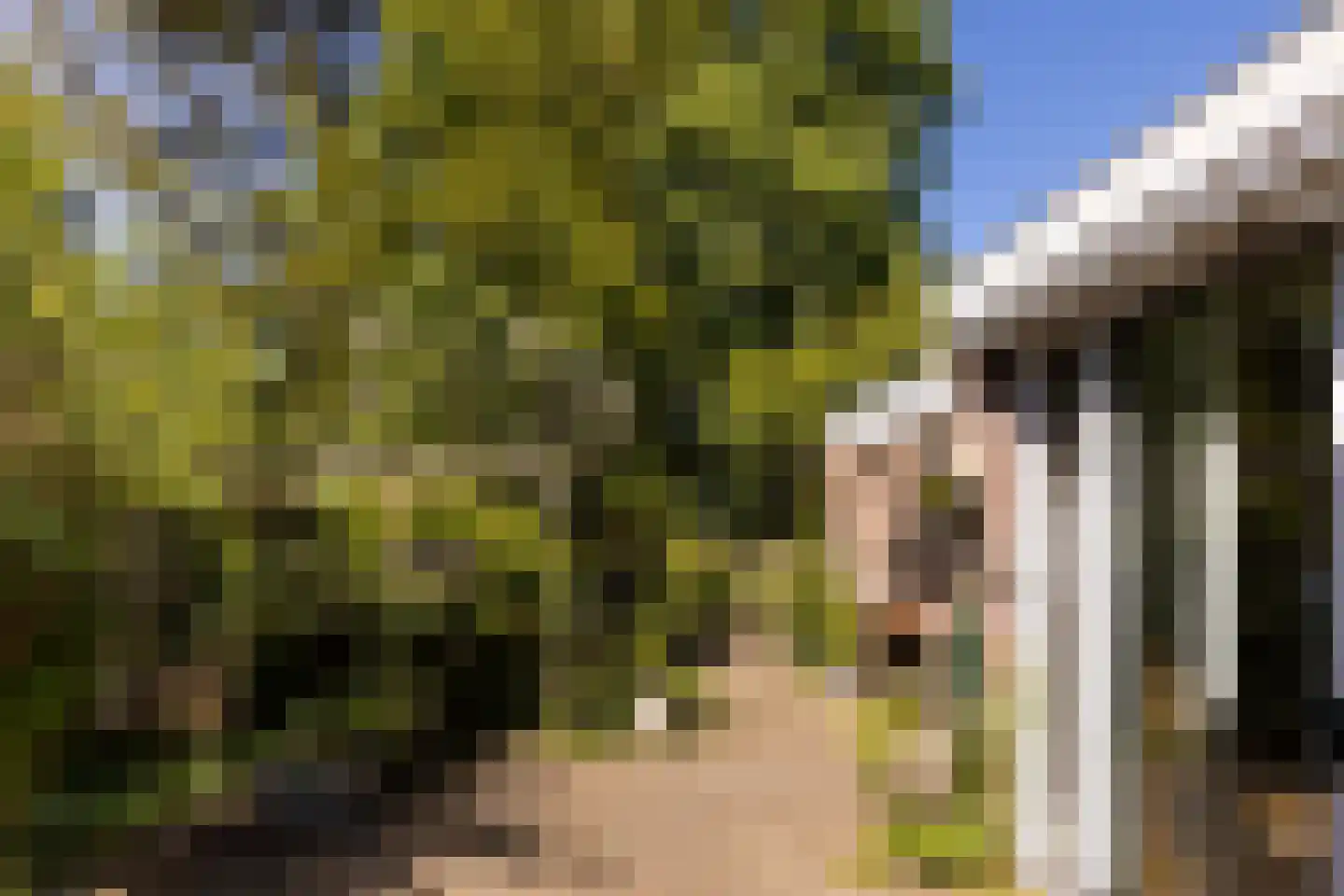 Oortveldlaan 9 Ede thumbnail 27