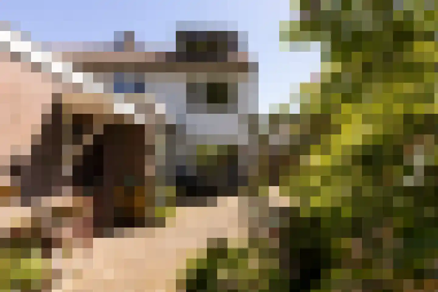 Oortveldlaan 9 Ede thumbnail 28
