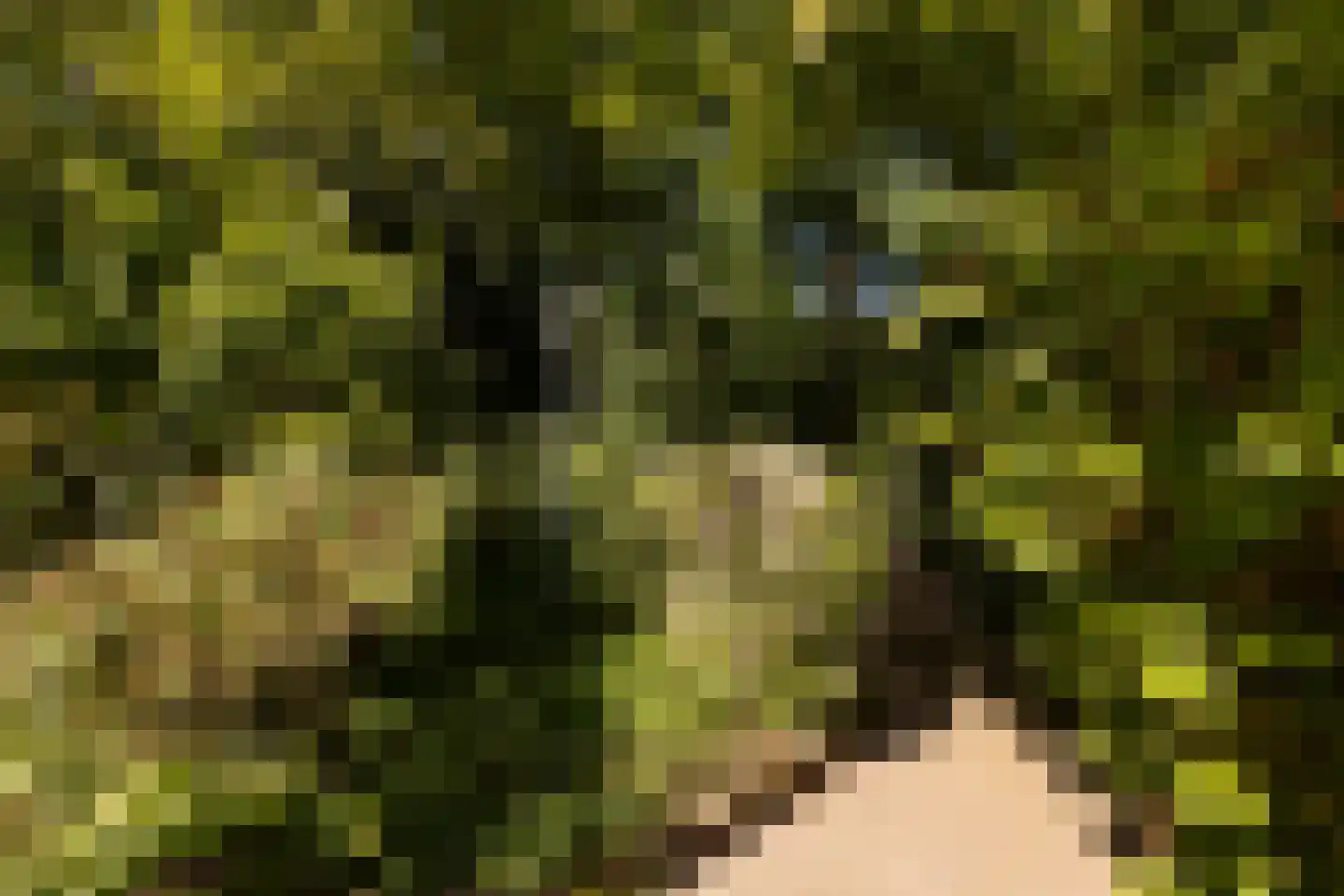 Oortveldlaan 9 Ede thumbnail 29