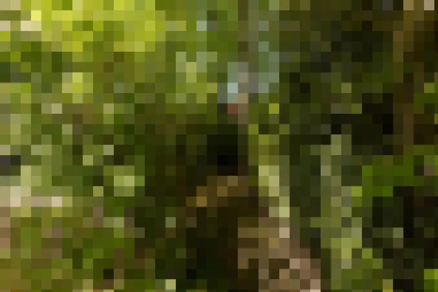 Oortveldlaan 9 Ede thumbnail 30