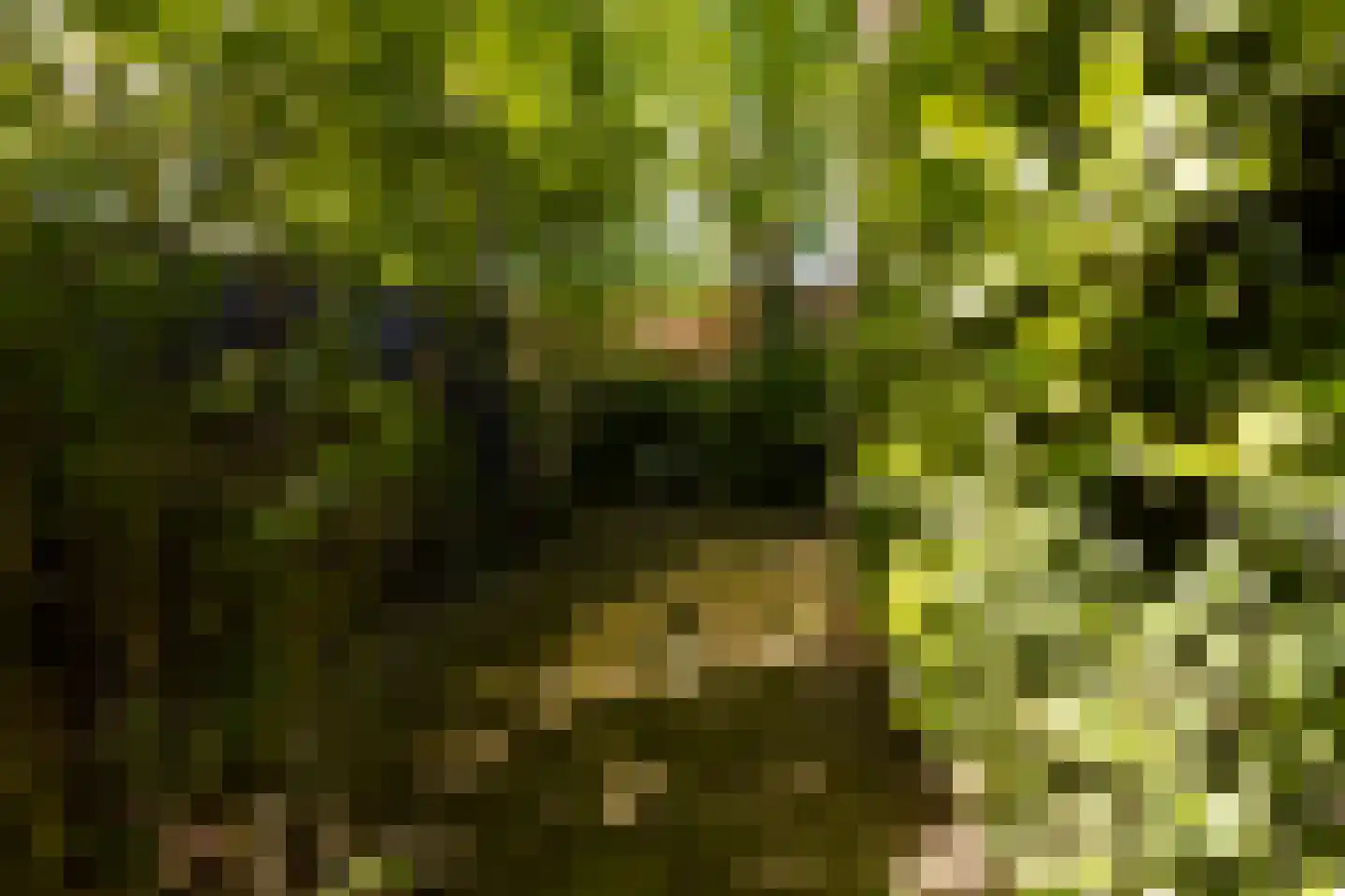 Oortveldlaan 9 Ede thumbnail 31