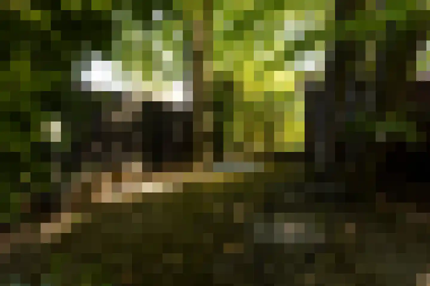 Oortveldlaan 9 Ede thumbnail 32