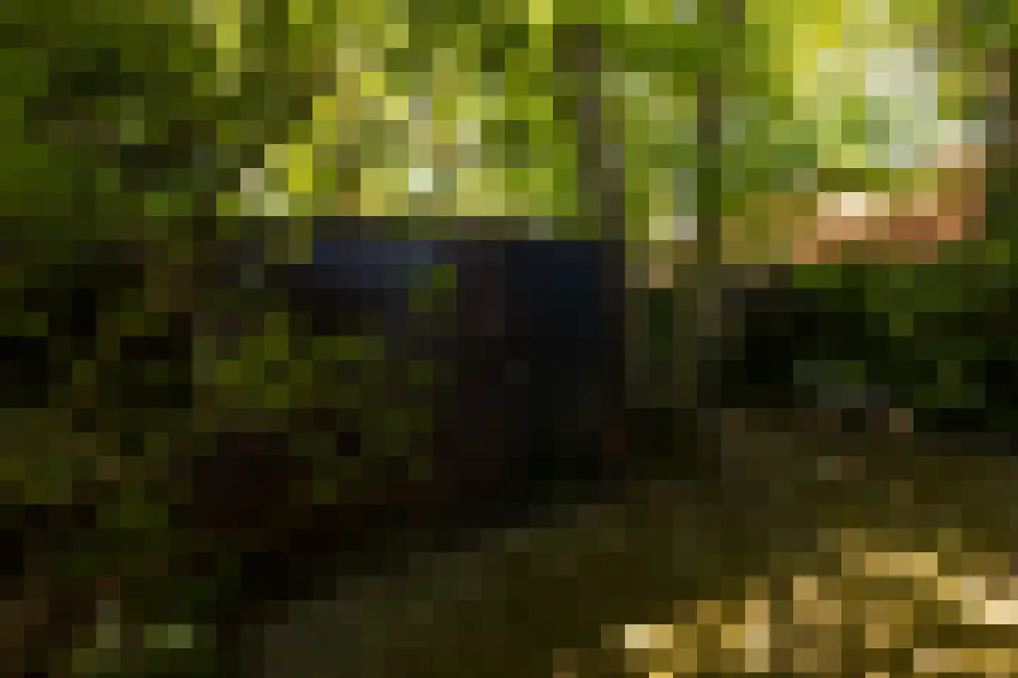 Oortveldlaan 9 Ede thumbnail 33