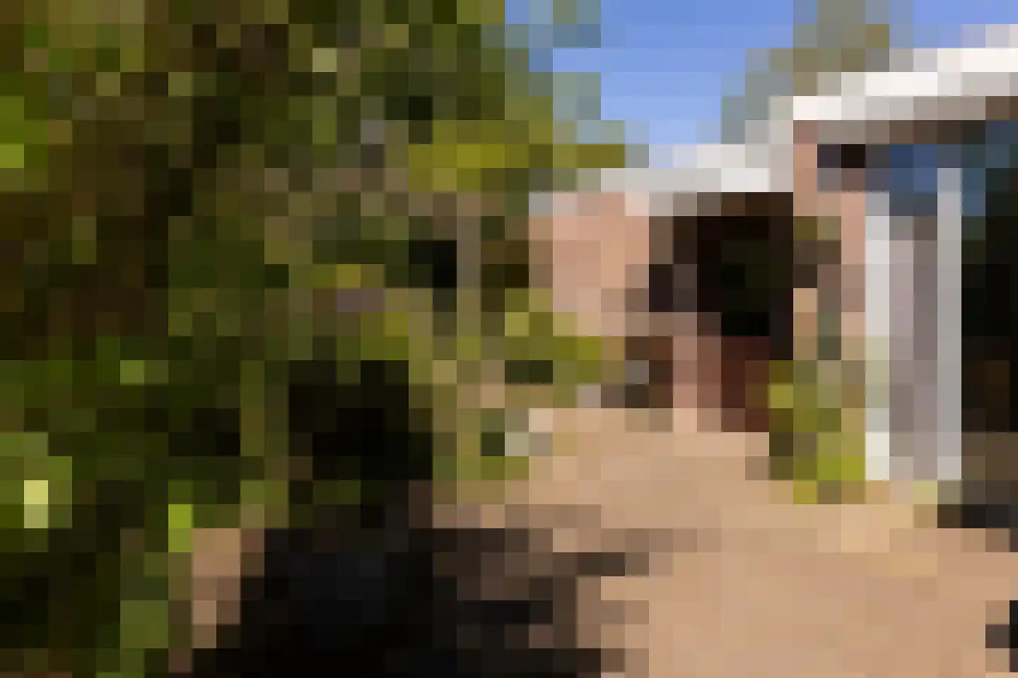 Oortveldlaan 9 Ede thumbnail 34