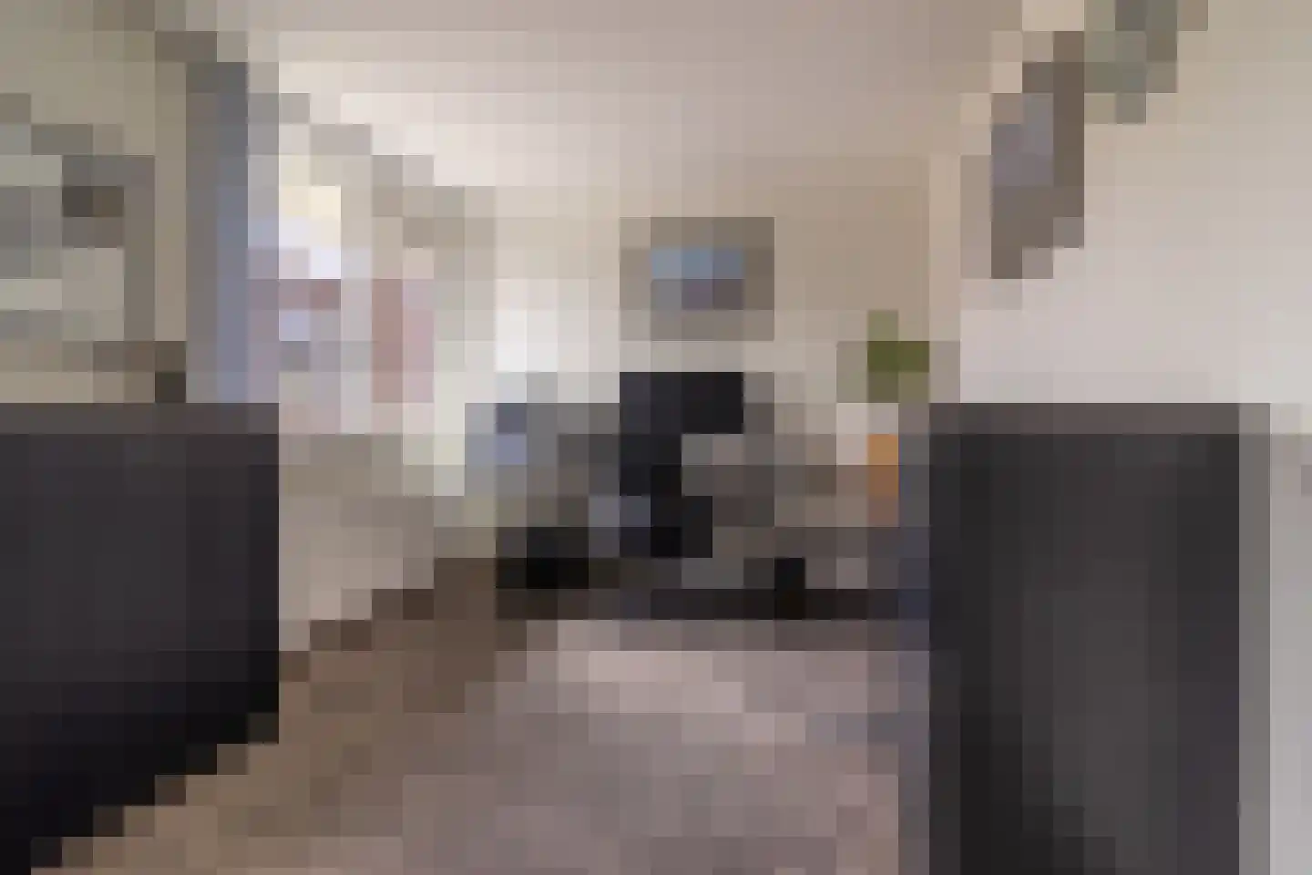 Ooshout 15 Soest thumbnail 10