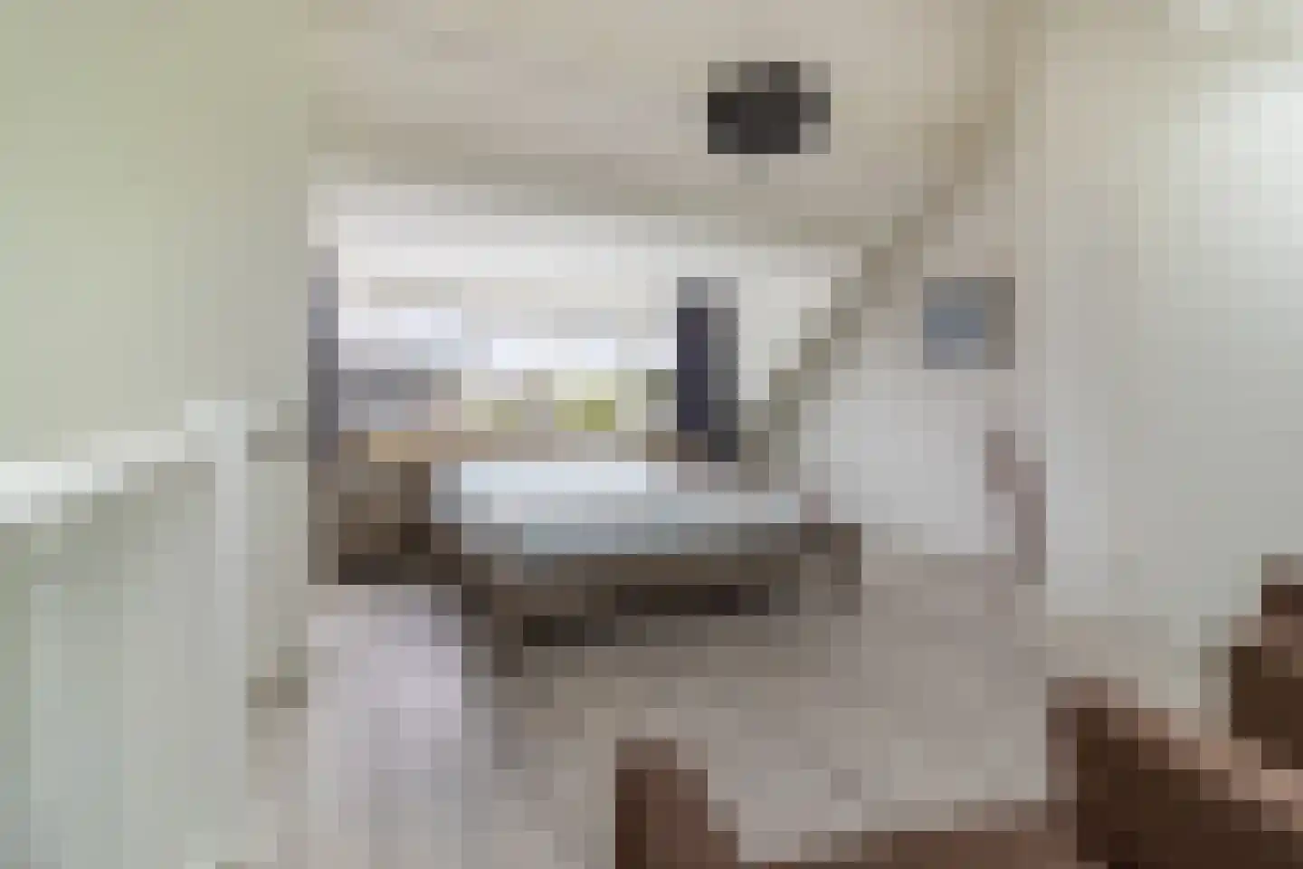Ooshout 15 Soest thumbnail 15