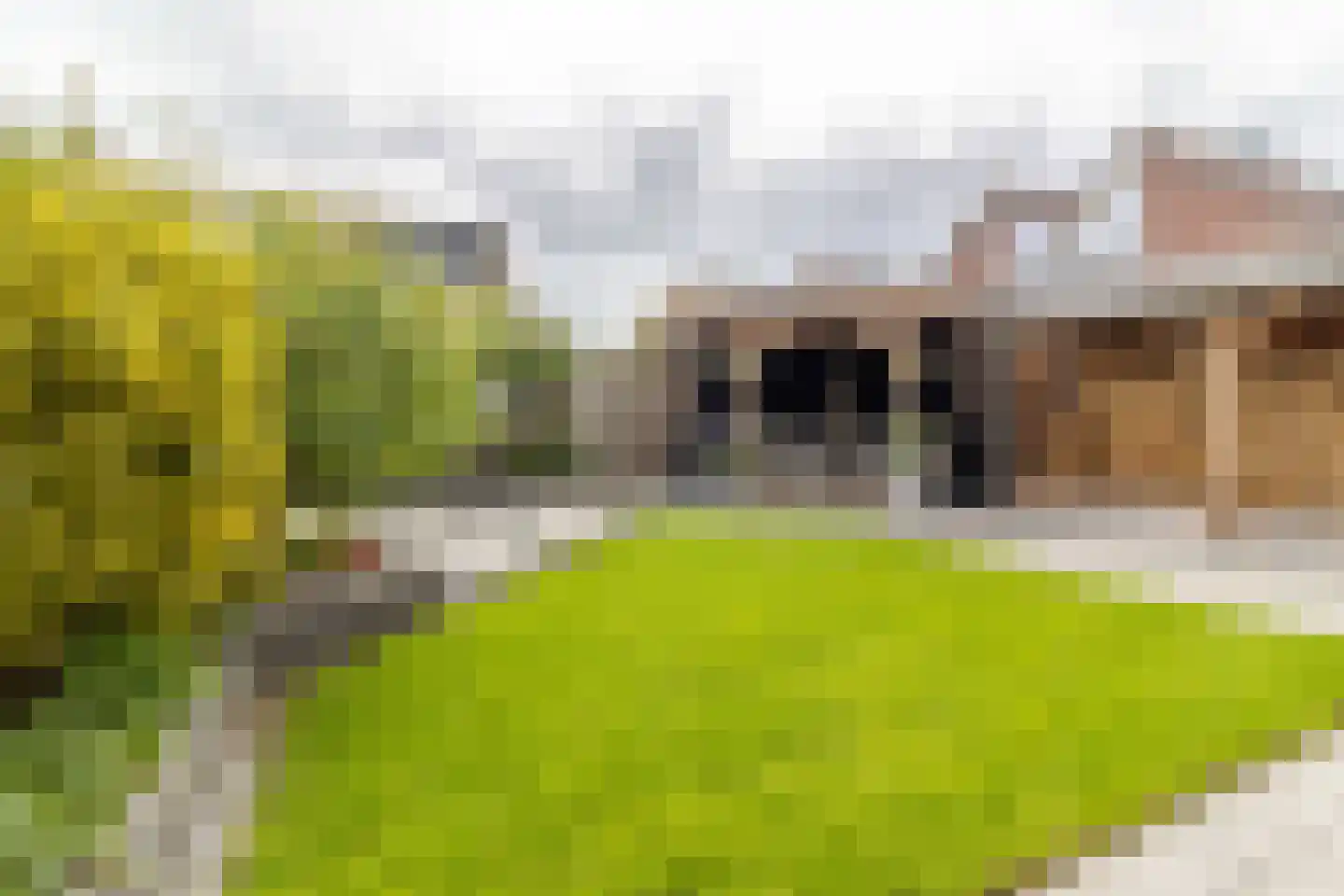 Ooshout 15 Soest thumbnail 19