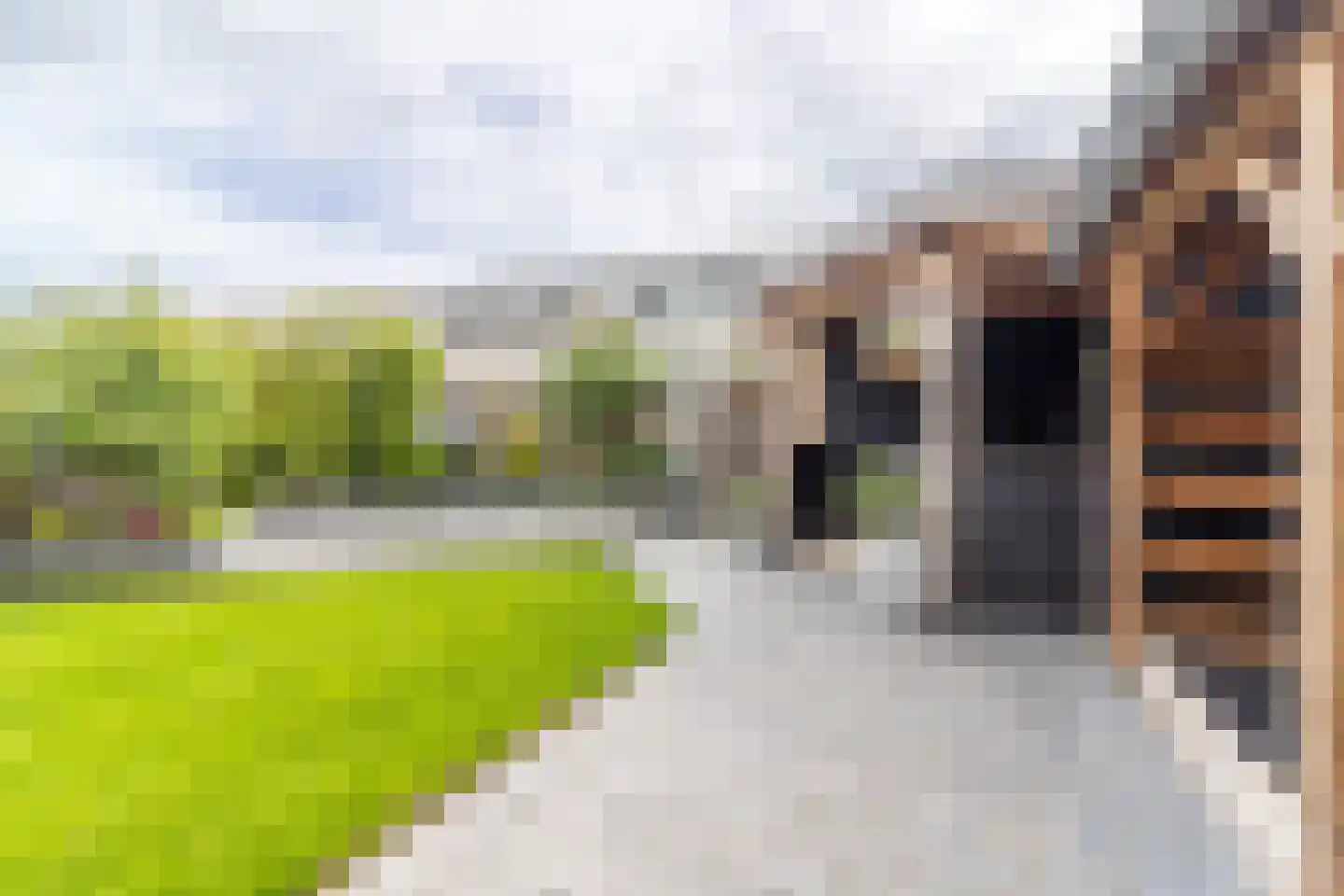 Ooshout 15 Soest thumbnail 20