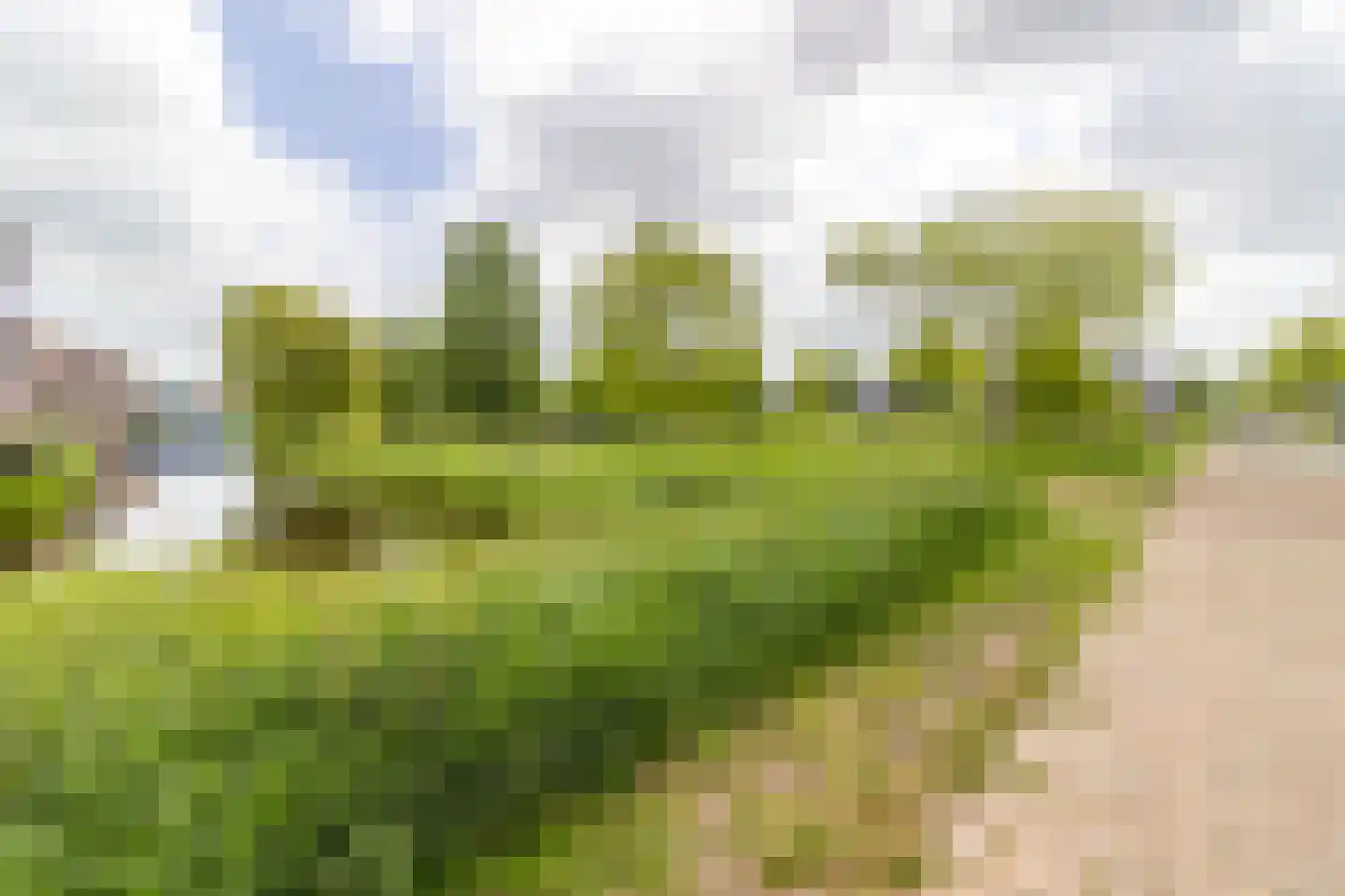 Ooshout 15 Soest thumbnail 24