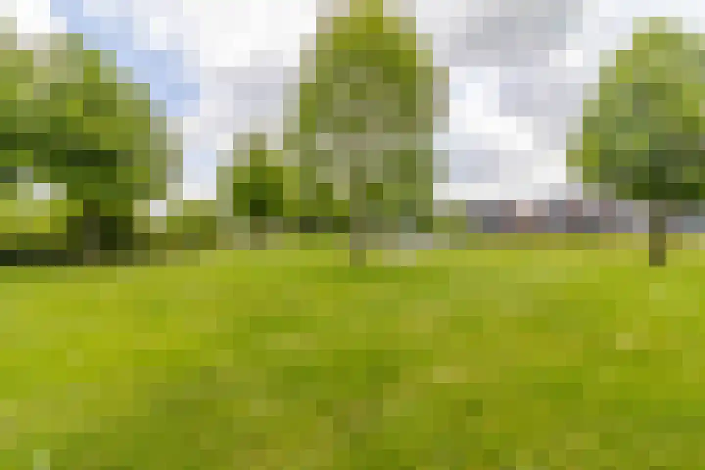 Ooshout 15 Soest thumbnail 25