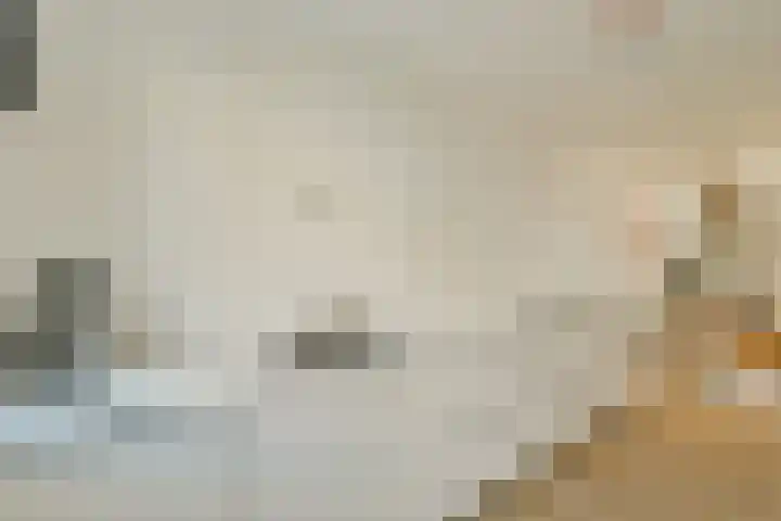 Oossaander Hoop 12 Amsterdam thumbnail 12
