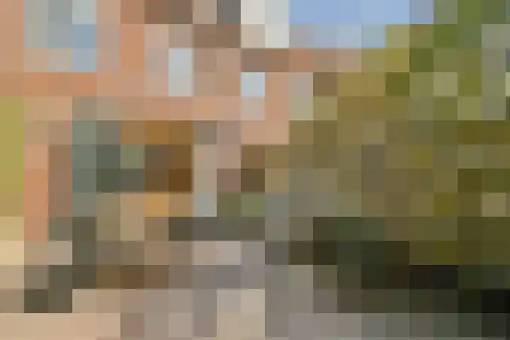 Oossaander Hoop 12 Amsterdam thumbnail 14