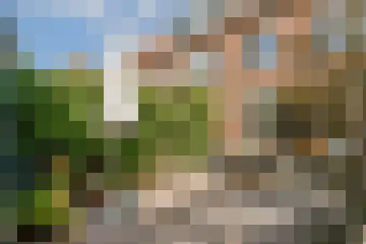 Oossaander Hoop 12 Amsterdam thumbnail 15