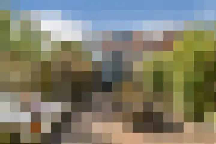 Oossaander Hoop 12 Amsterdam thumbnail 16