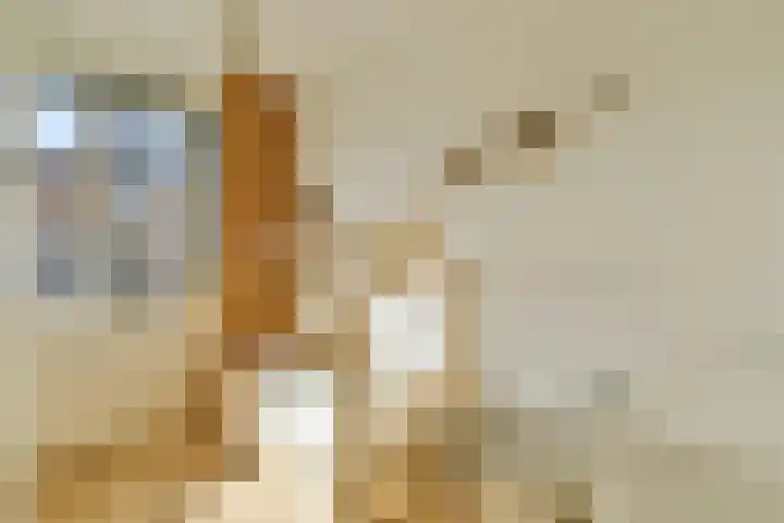 Oossaander Hoop 12 Amsterdam thumbnail 19