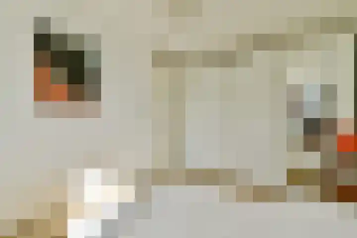 Oossaander Hoop 12 Amsterdam thumbnail 22