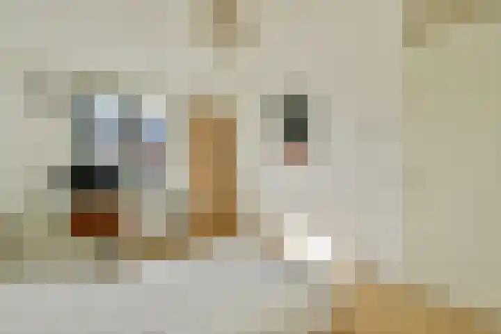 Oossaander Hoop 12 Amsterdam thumbnail 23