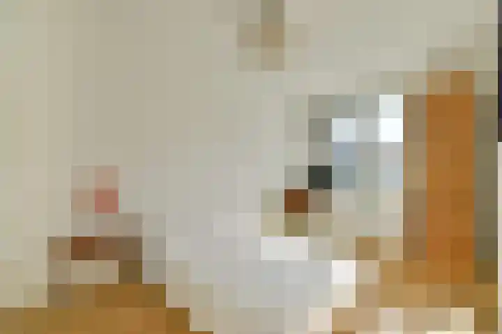 Oossaander Hoop 12 Amsterdam thumbnail 24