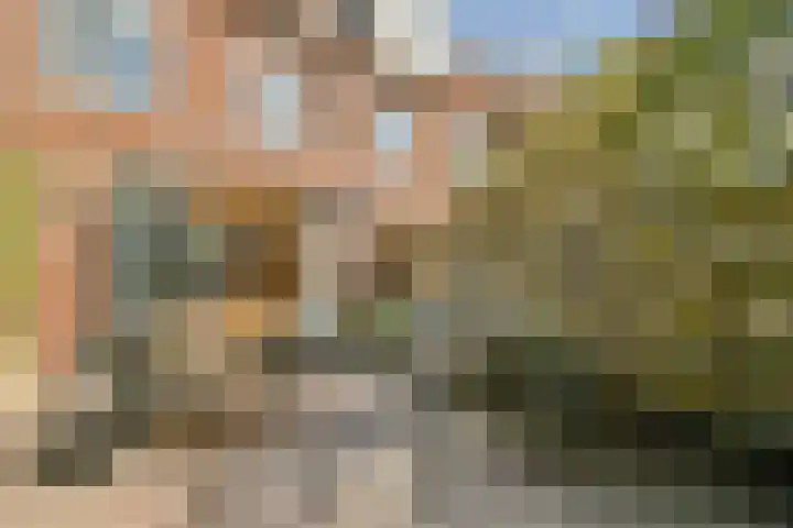 Oossaander Hoop 12 Amsterdam thumbnail 5