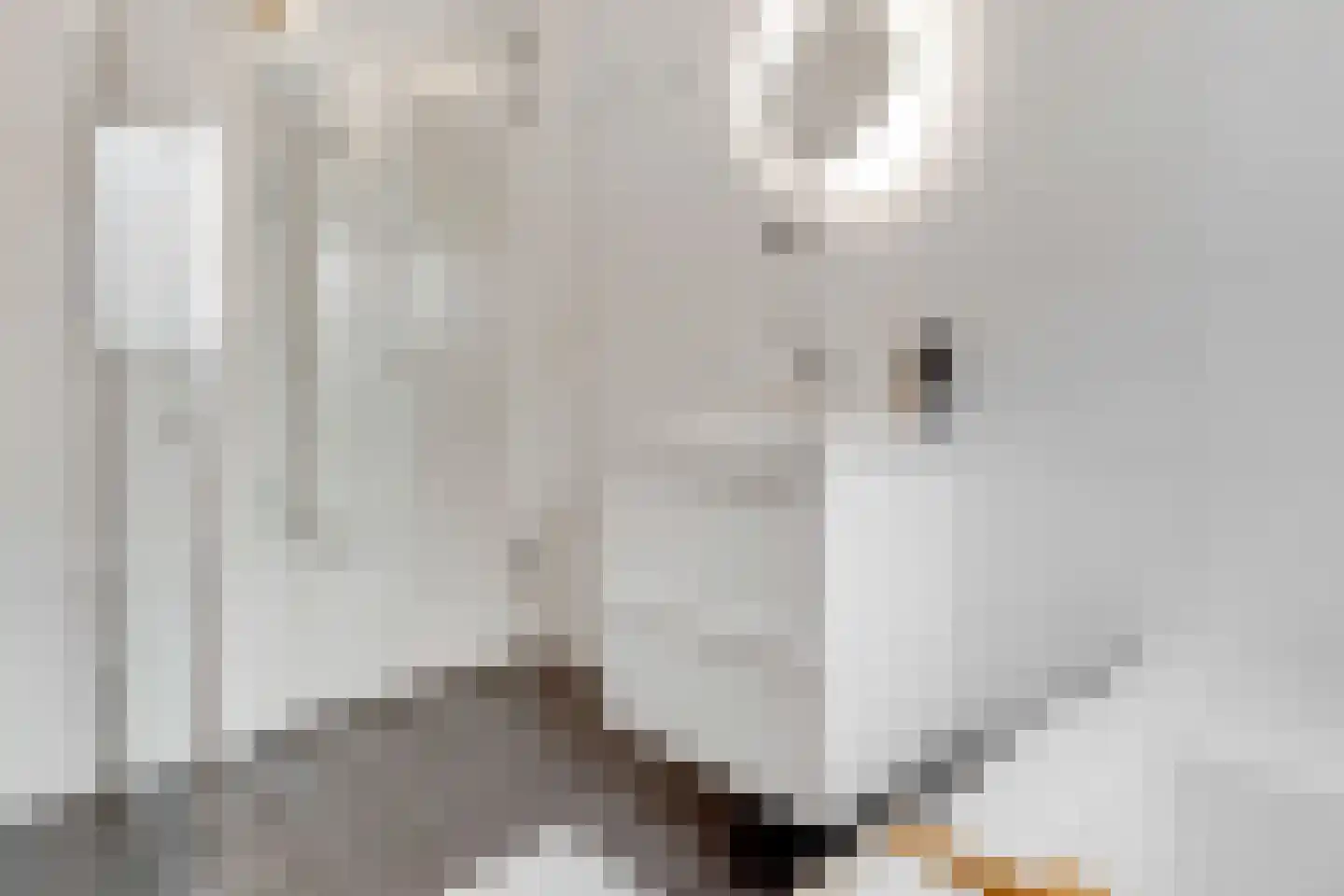 Oossaander Hoop 13 Amsterdam thumbnail 21