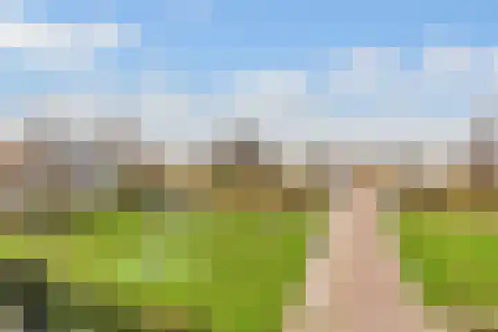 Oossaander Hoop 13 Amsterdam thumbnail 30