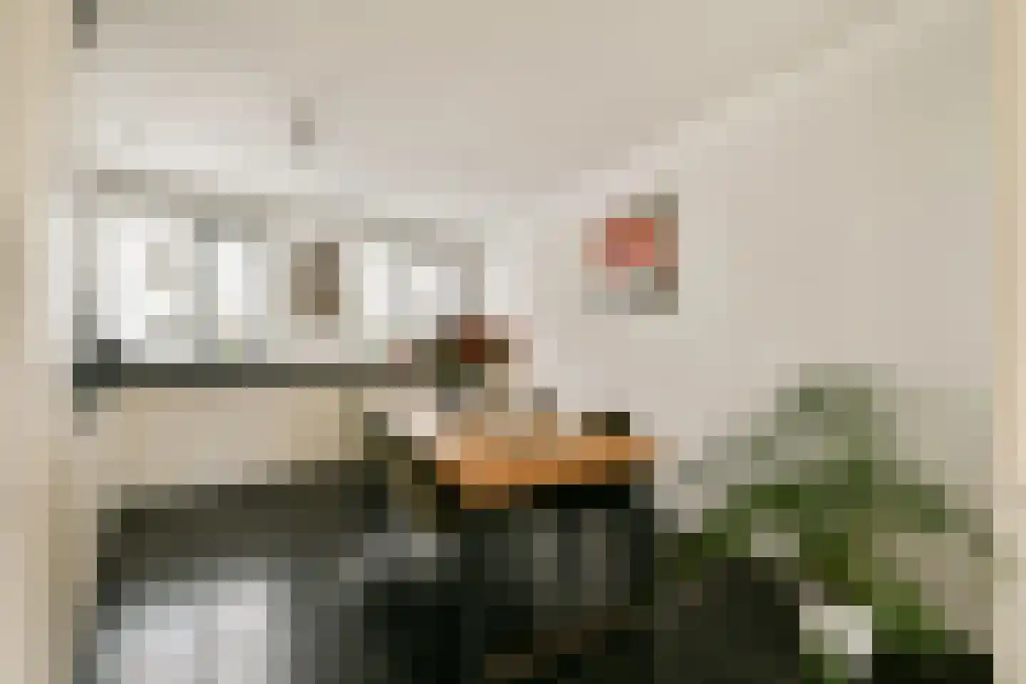 Oossaander Hoop 14 Amsterdam thumbnail 11
