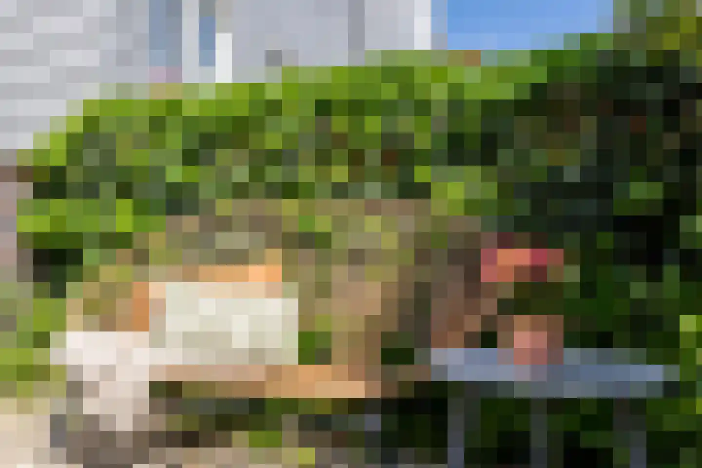 Oossaander Hoop 16 Amsterdam thumbnail 9