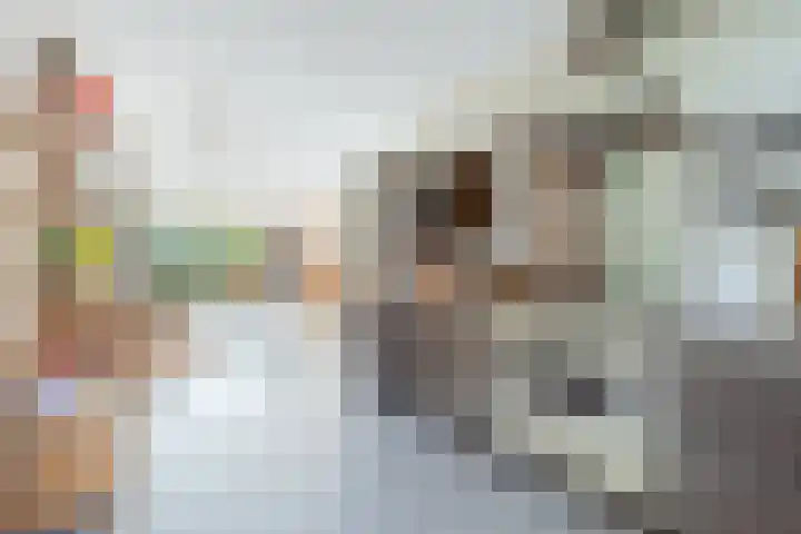Oossaander Hoop 19 Amsterdam thumbnail 10