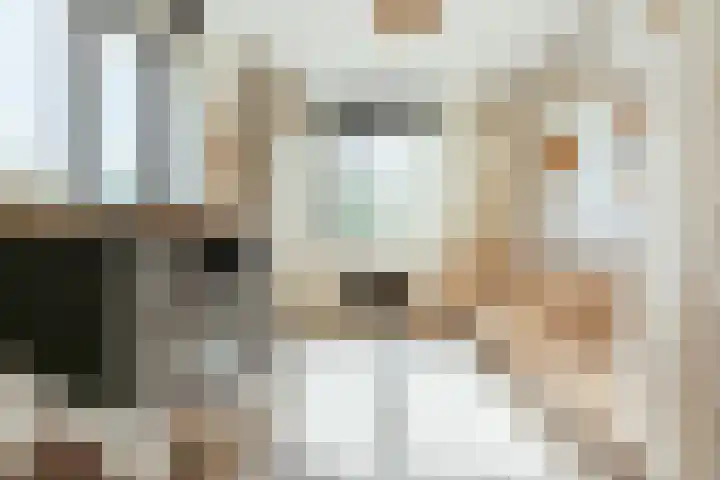 Oossaander Hoop 19 Amsterdam thumbnail 19