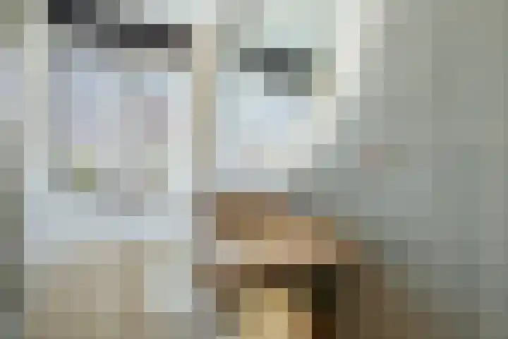 Oossaander Hoop 19 Amsterdam thumbnail 21