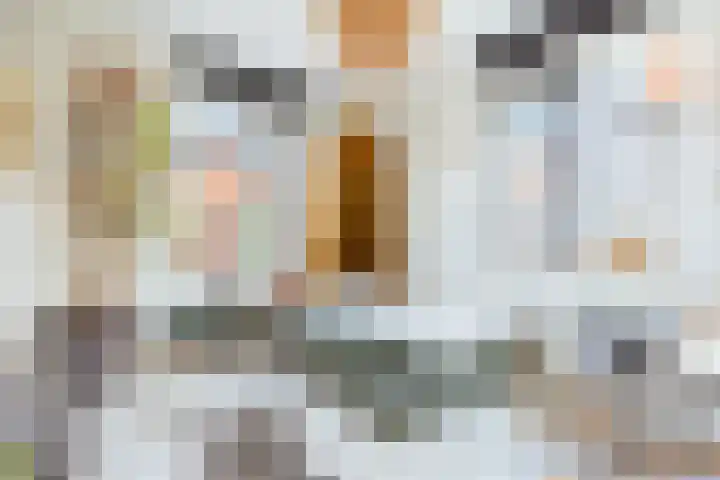 Oossaander Hoop 19 Amsterdam thumbnail 24