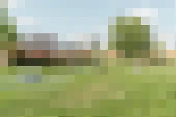 Oossaander Hoop 19 Amsterdam thumbnail 29