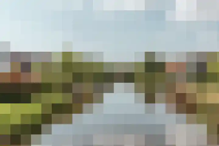 Oossaander Hoop 19 Amsterdam thumbnail 30