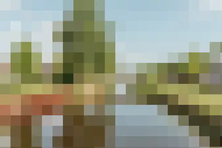 Oossaander Hoop 19 Amsterdam thumbnail 31