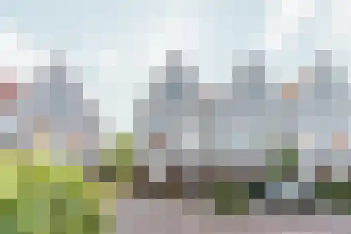 Oossaander Hoop 19 Amsterdam thumbnail 32
