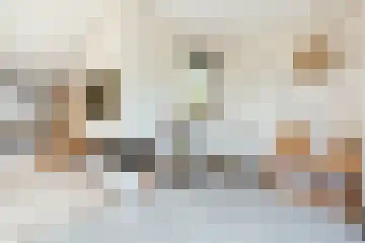 Oossaander Hoop 19 Amsterdam thumbnail 7