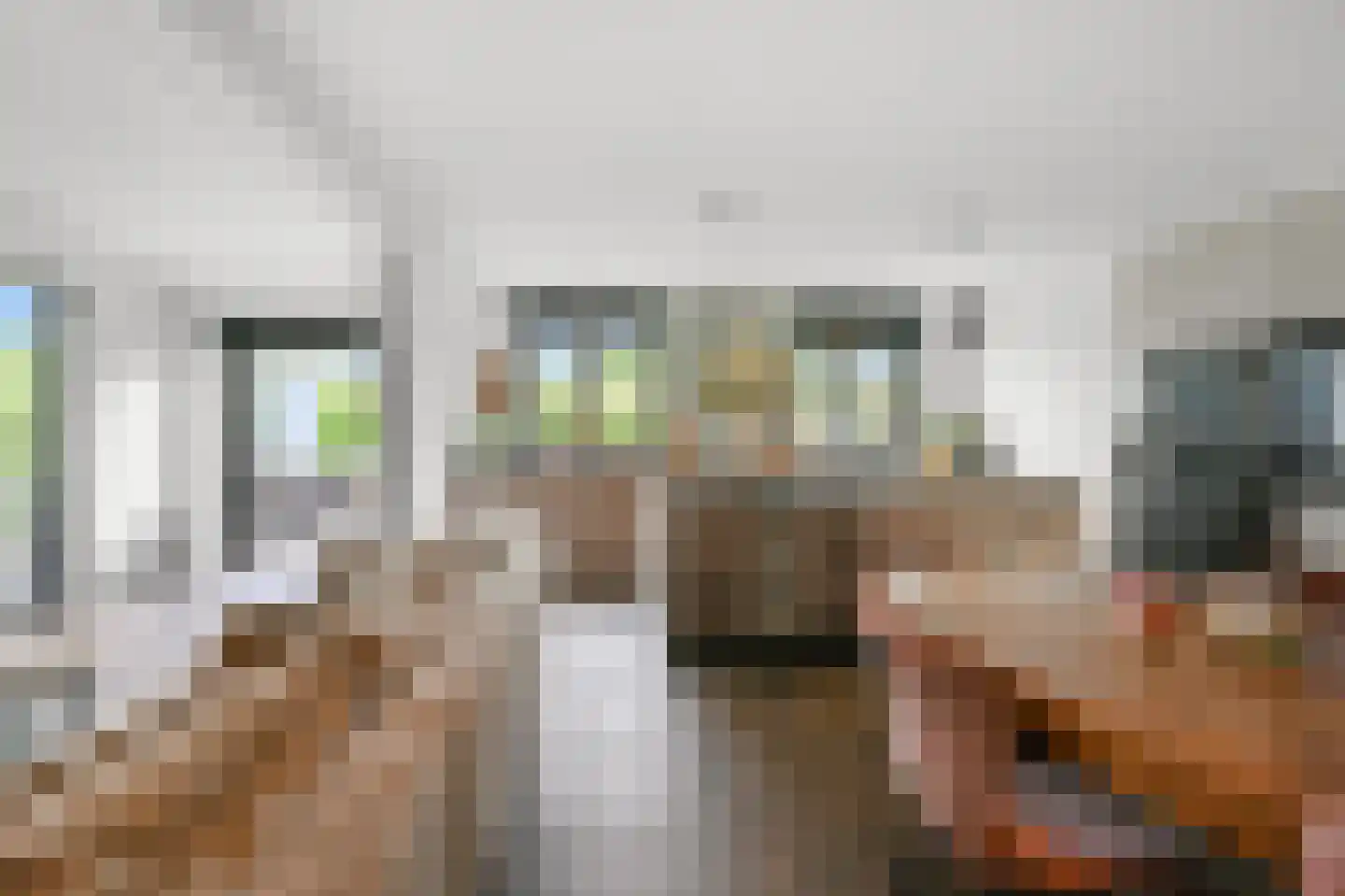Oossaander Hoop 2 Amsterdam thumbnail 10